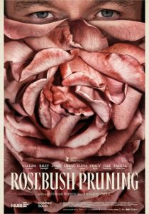 Подрезка кустов роз (2026)