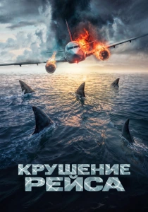 Крушение рейса (2026)